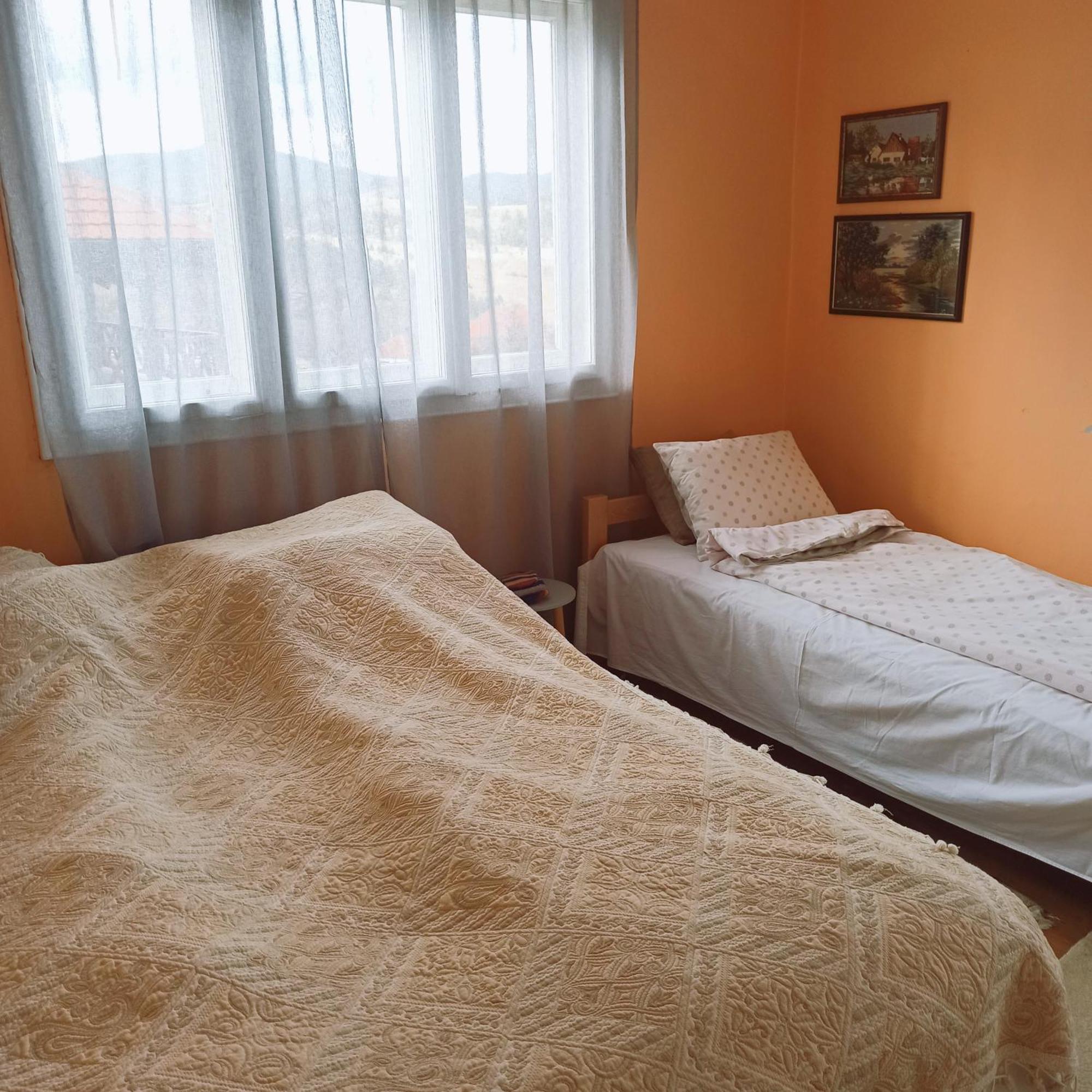 Kuca Despot Apartment Kremna Стая снимка