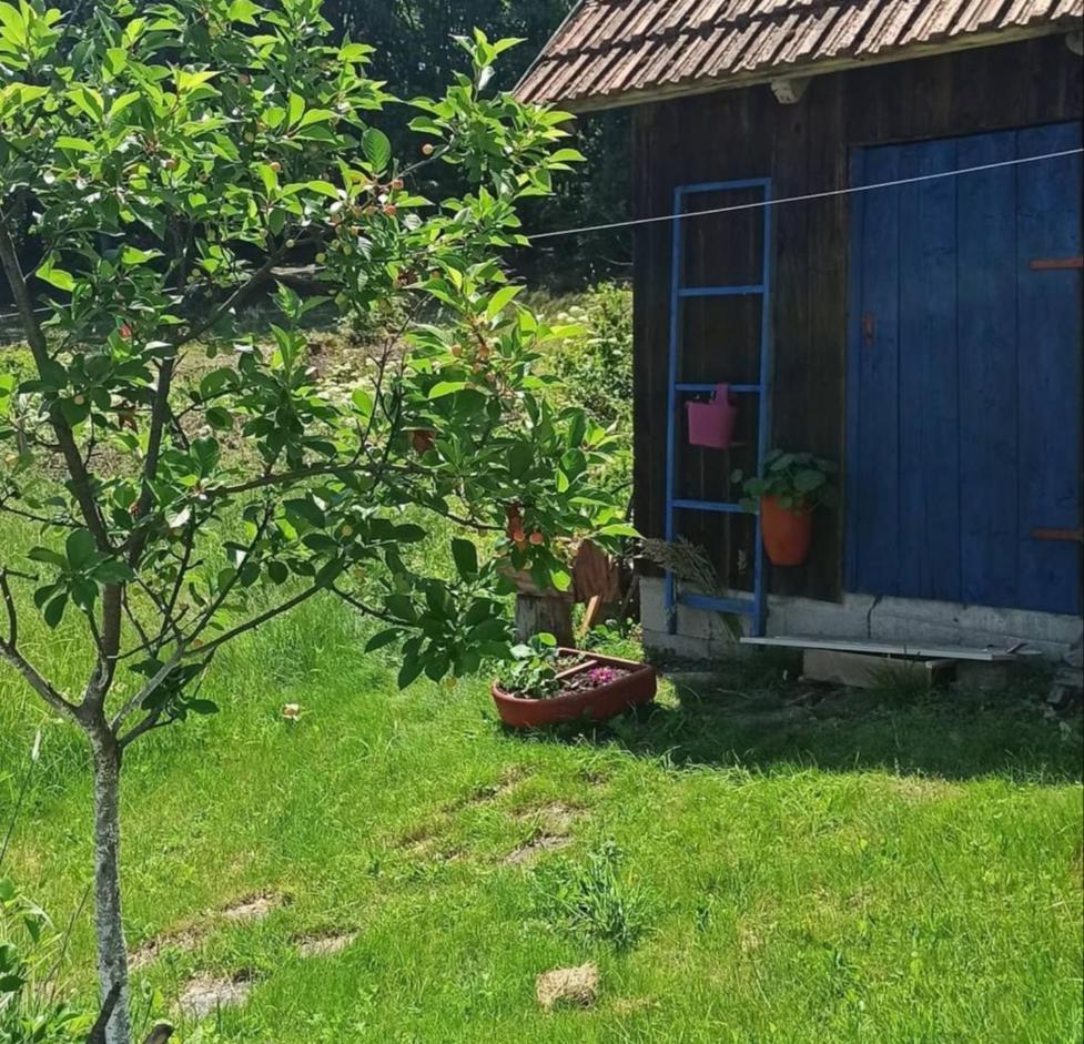 Kuca Despot Apartment Kremna Екстериор снимка